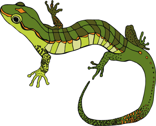 Ящерица мультяшный