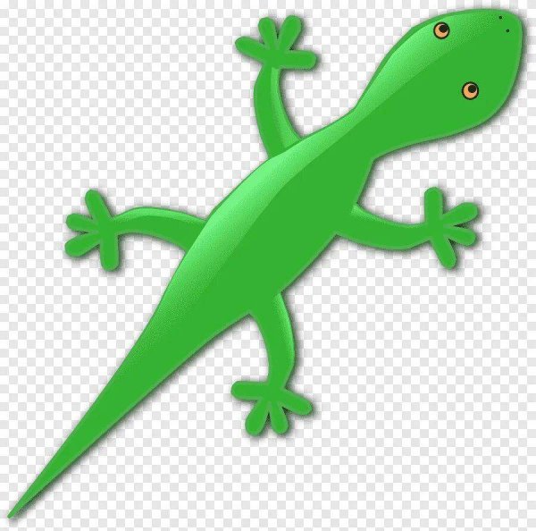 Ящерица для детей