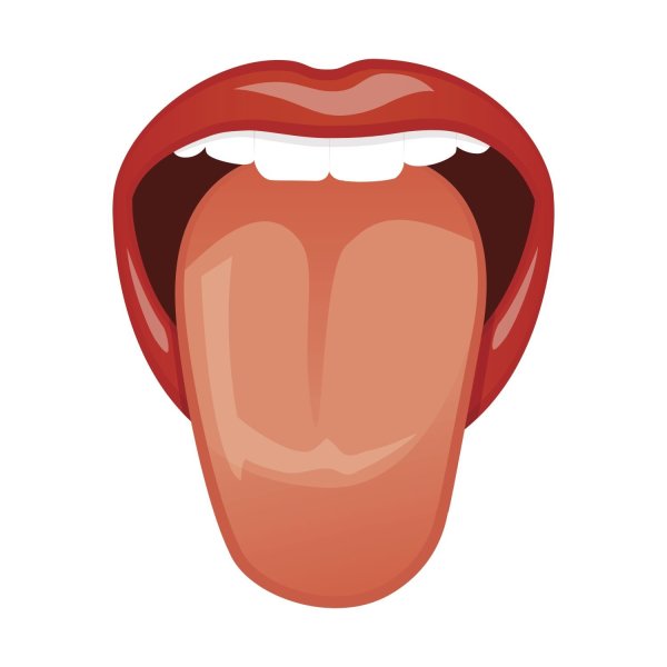 Язык иллюстрация