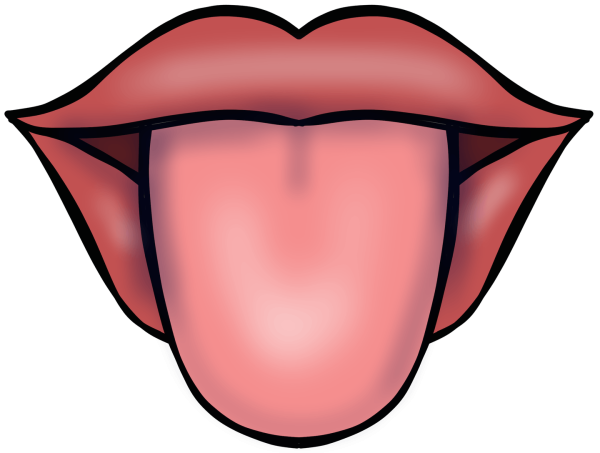 Язык рисунка