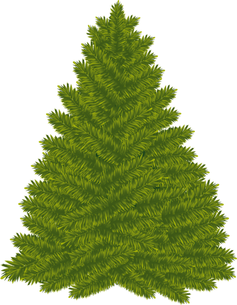 Елка на прозрачном фоне