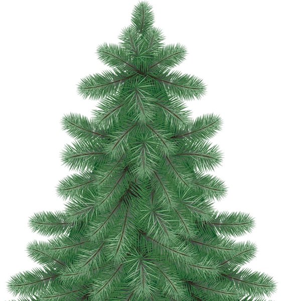 Елка без игрушек