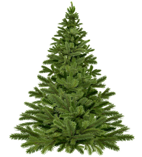 Maxy Poland Элиза заснеженная 2.2