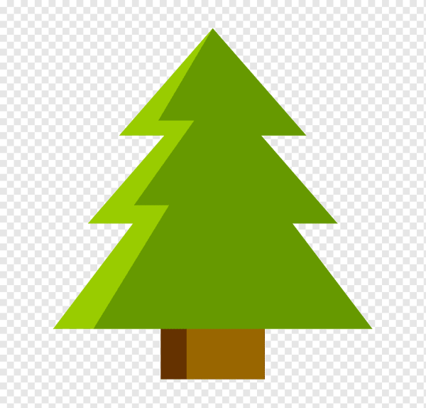 Ель треугольная