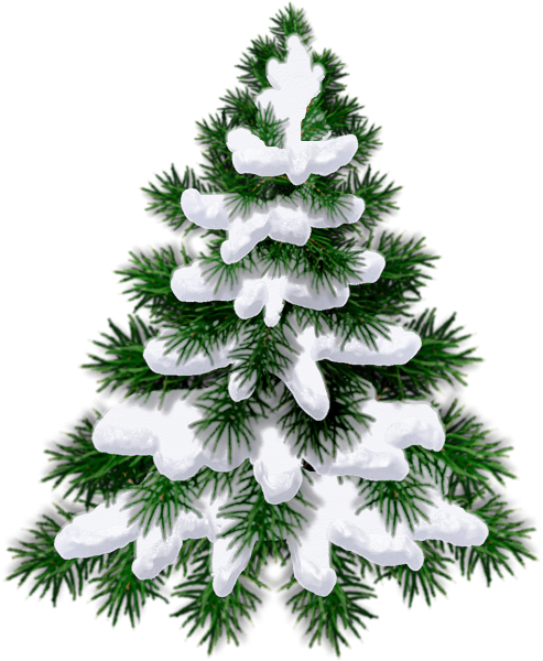 Елка на белом фоне