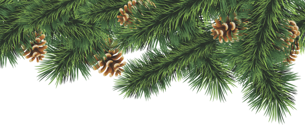 Новогодняя Сосновая ветка