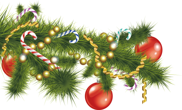 Новогодние еловые ветки