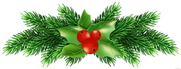 Веточка елки