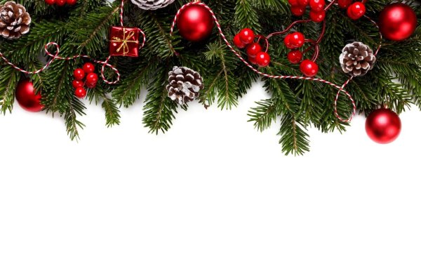 Новогодние еловые ветки