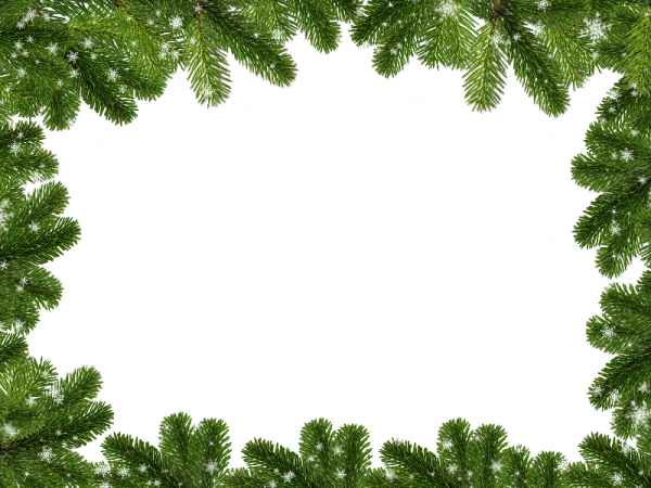 Рамка из еловых ветвей