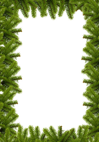 Рамка из еловых веток