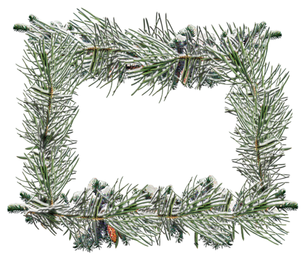 Елочные ветки рамка