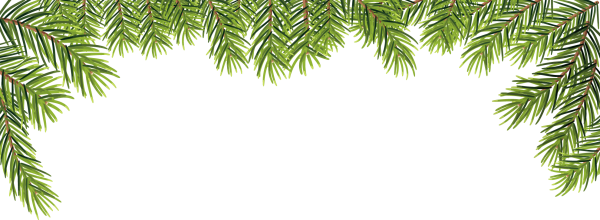 Рамка из натуральных еловых веток на прозрачном фоне