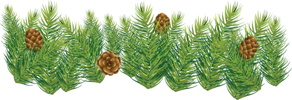 Еловые шишки на белом фоне