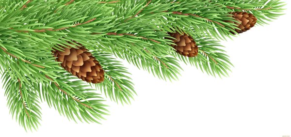 Елки ветки сбоку мультяшно