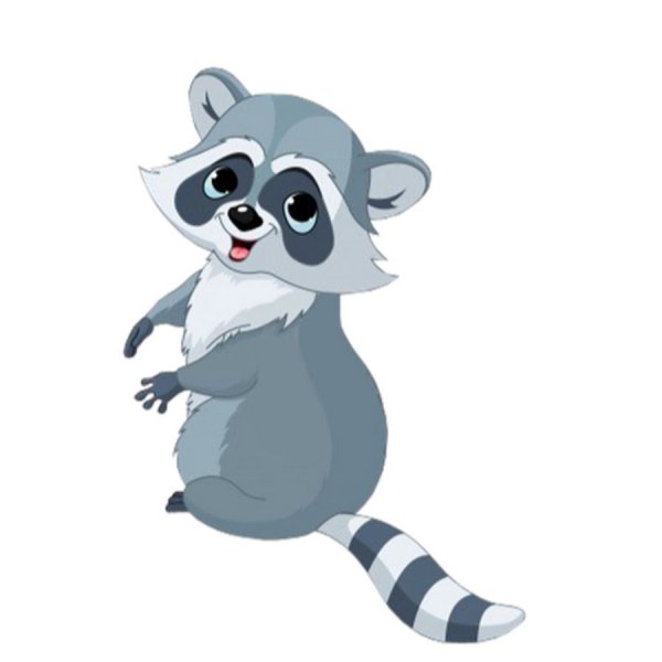 Мультяшные еноты