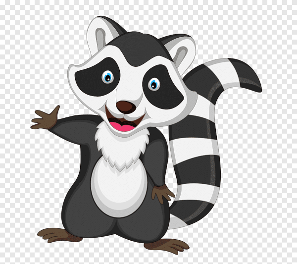 Енот рисунок