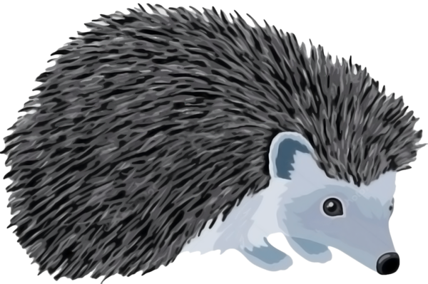 Ежик скретч