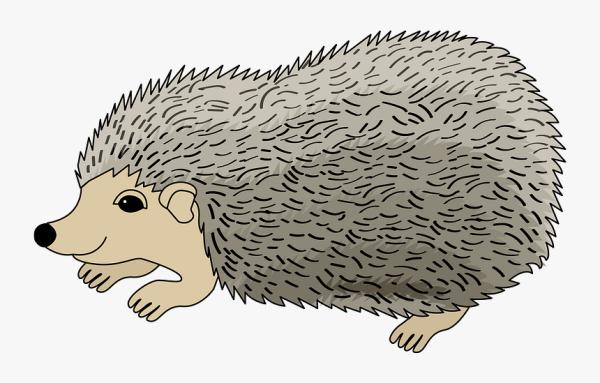 Ежик рисунок