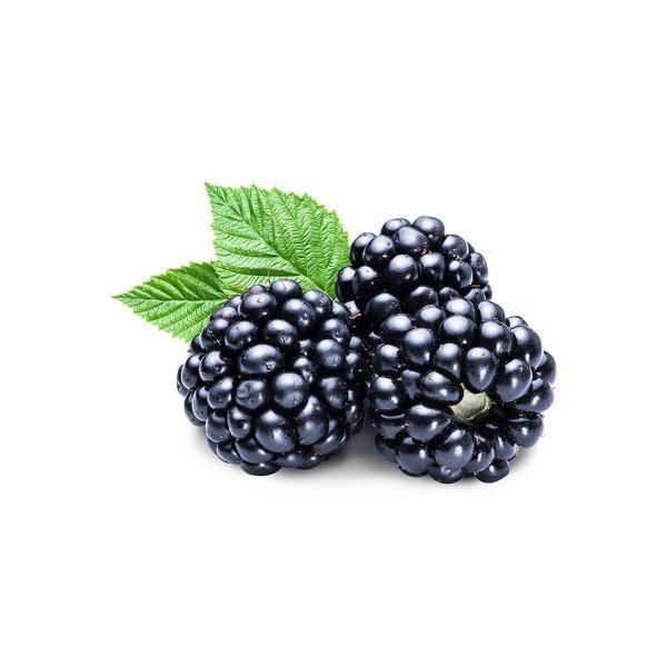 Element "BLACKBERRY" (ежевика)