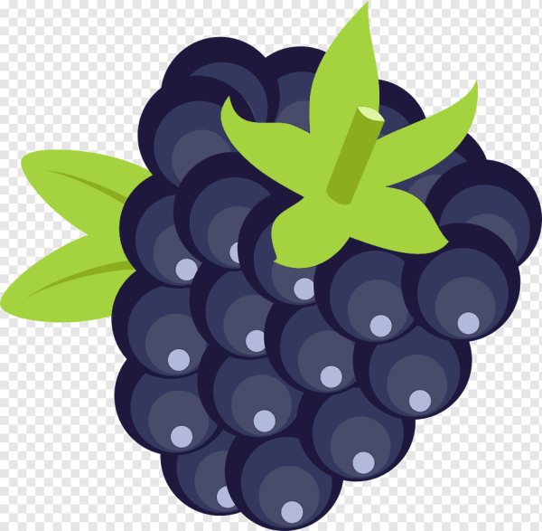 Ежевика мультяшная