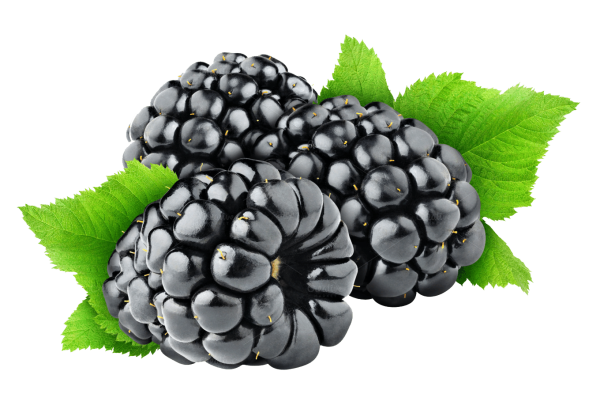 Ежевика, 250 г