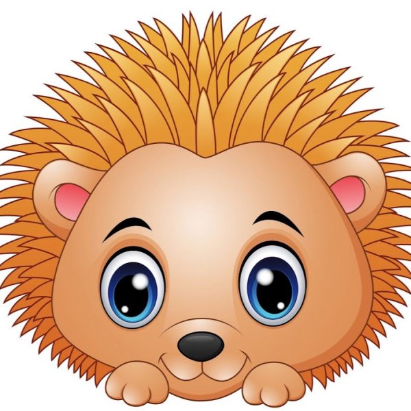 Мультяшное лицо ежика