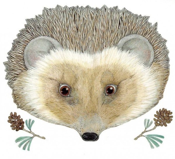 Маска Ёжика на голову