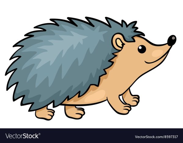 Ежик рисунок для детей