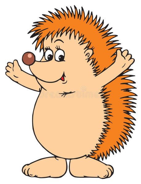 Ежик на белом фоне