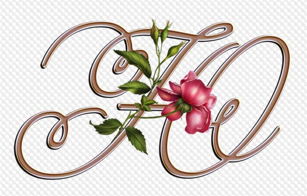 Буквы с вензелями из цветов
