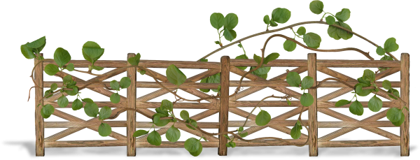 Забор плетень на прозрачном фоне