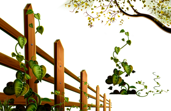 Огород на прозрачном фоне