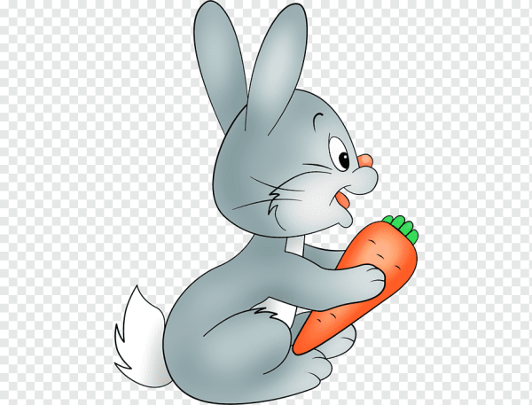 Картун рэббит