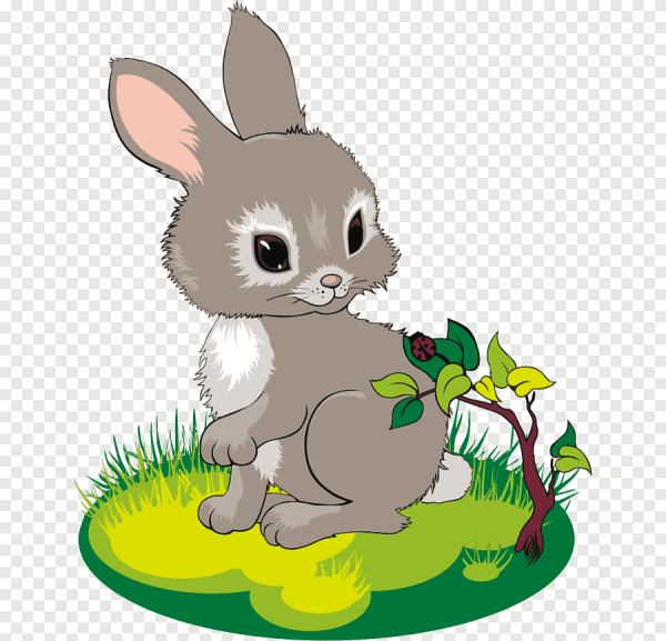 Заяц мультяшный
