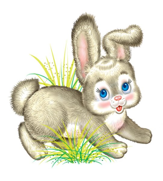 Заяц картинка на прозрачном фоне