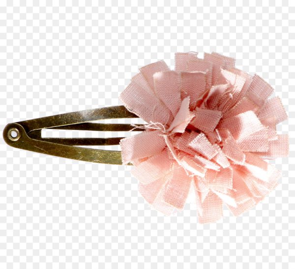 Заколка на прозрачном фоне