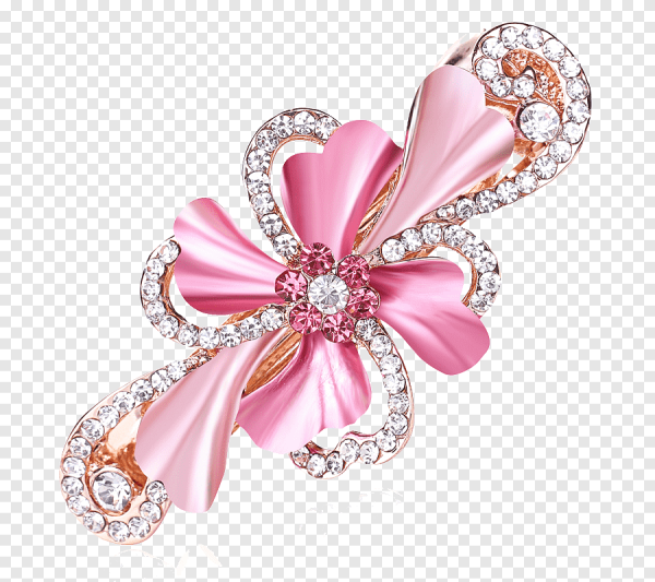 Заколка на прозрачном фоне