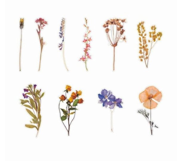 Наклейки с сухоцветами