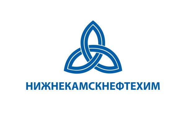 Публичного акционерного общество «Нижнекамскнефтехима»