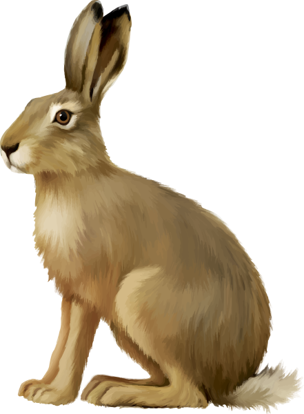 Дикие животные без фона