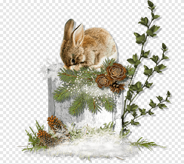 Зайка на зимнем фоне