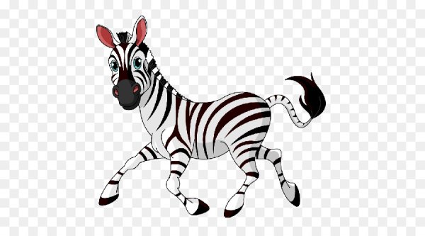 Зебра вектор