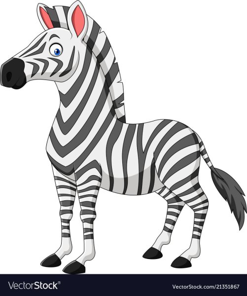 Зебра на белом фоне для детей