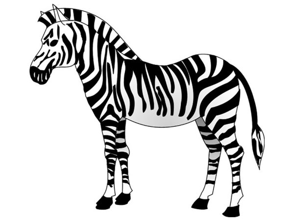 Зебра рисунок