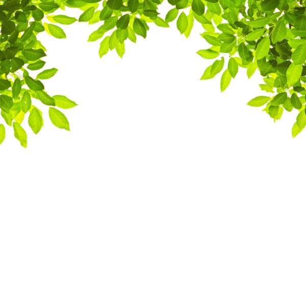 Рамка зелень