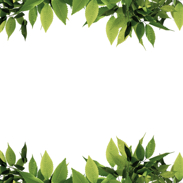 Рамка из зелени