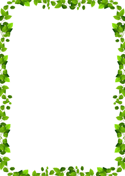 Рамка растения