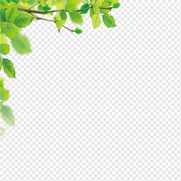 Рамка зеленые листочки