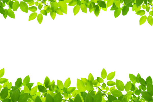 Листочками и травой по краям